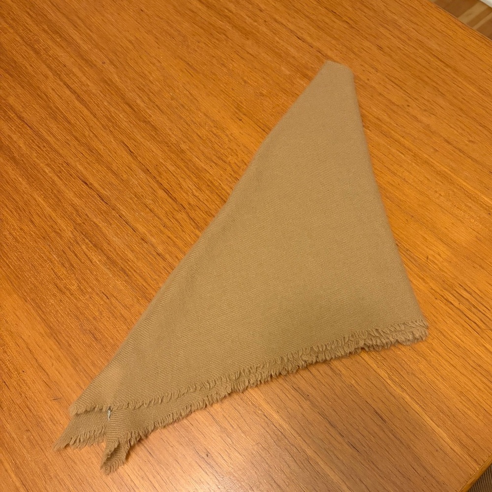 Everlane Cashmere Feather Bandana